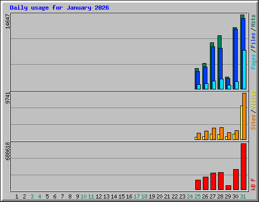 Daily usage for January 2026