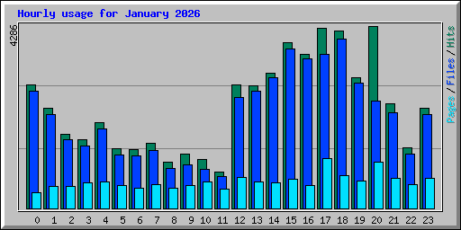 Hourly usage for January 2026