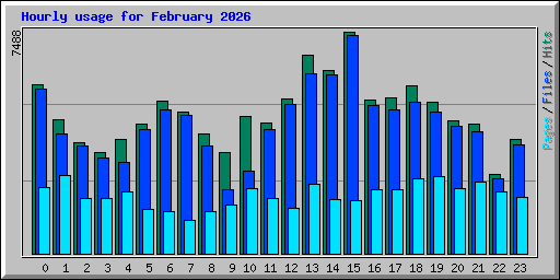 Hourly usage for February 2026