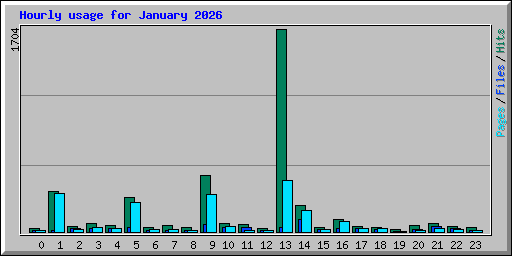 Hourly usage for January 2026