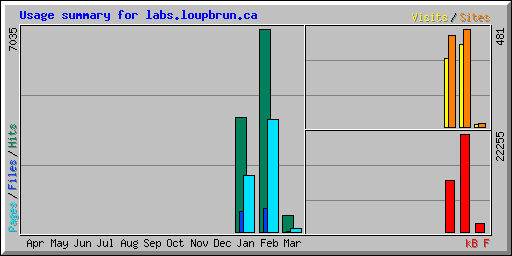 Usage summary for labs.loupbrun.ca