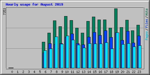 Hourly usage for August 2019