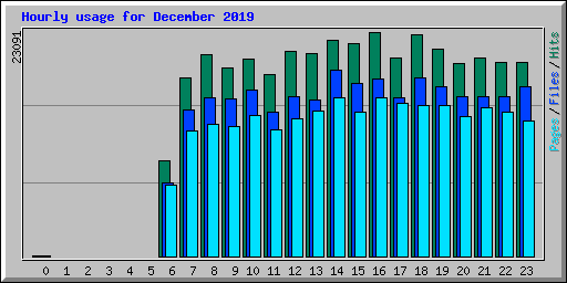 Hourly usage for December 2019