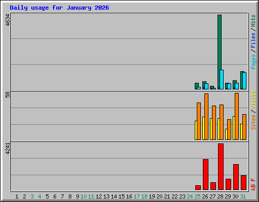 Daily usage for January 2026