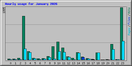 Hourly usage for January 2026