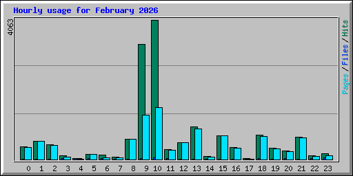 Hourly usage for February 2026