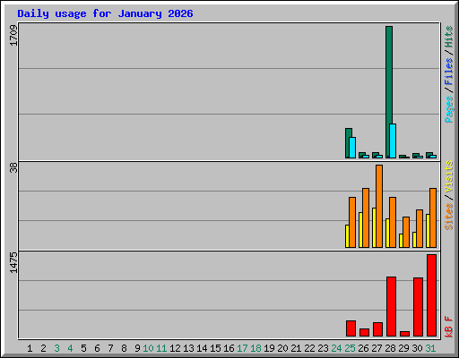 Daily usage for January 2026