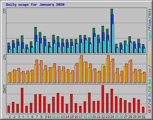 Daily usage for January 2020