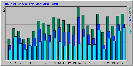 Hourly usage for January 2020
