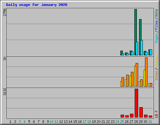 Daily usage for January 2026