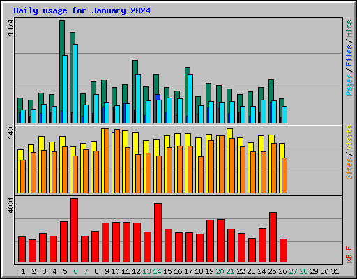 Daily usage for January 2024