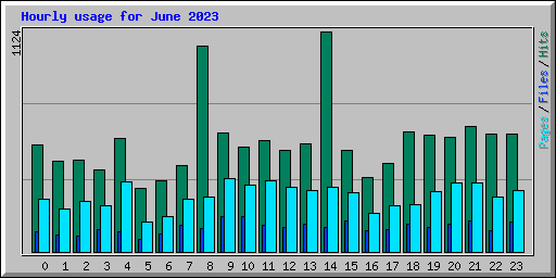 Hourly usage for June 2023