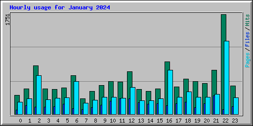 Hourly usage for January 2024