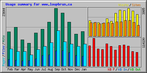 Usage summary for www.loupbrun.ca